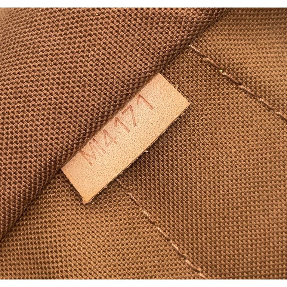 Louis Vuitton Monogram Montorgueil PM Shoulder Bag with LV Shopping Bag