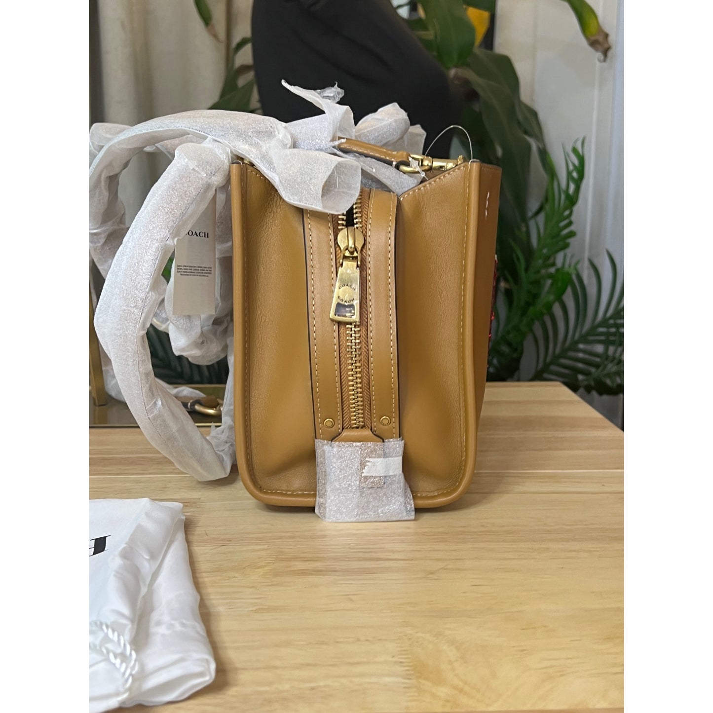 AUTHENTICATED!! Coach X Tom Wesselmann Rogue Bag 25 HANDBAG