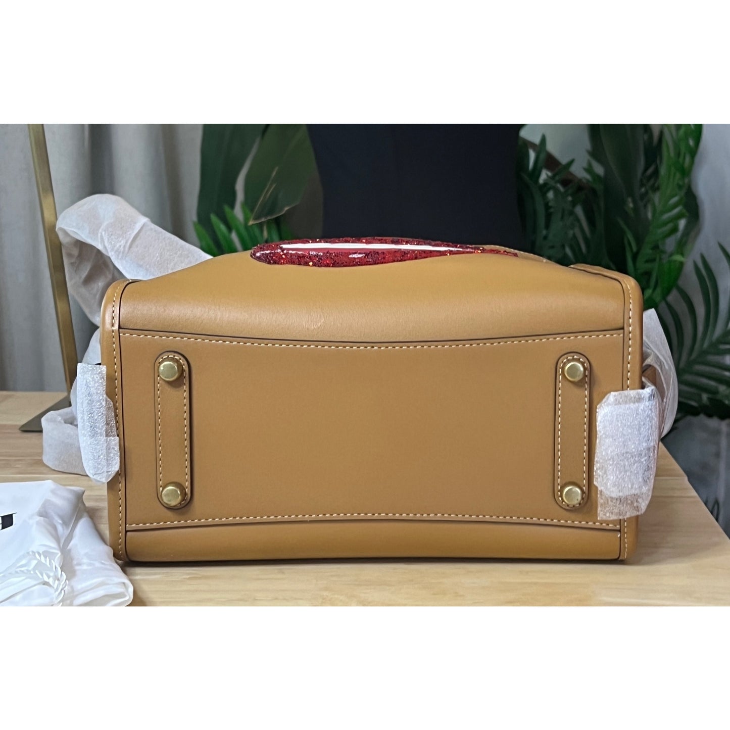 AUTHENTICATED!! Coach X Tom Wesselmann Rogue Bag 25 HANDBAG