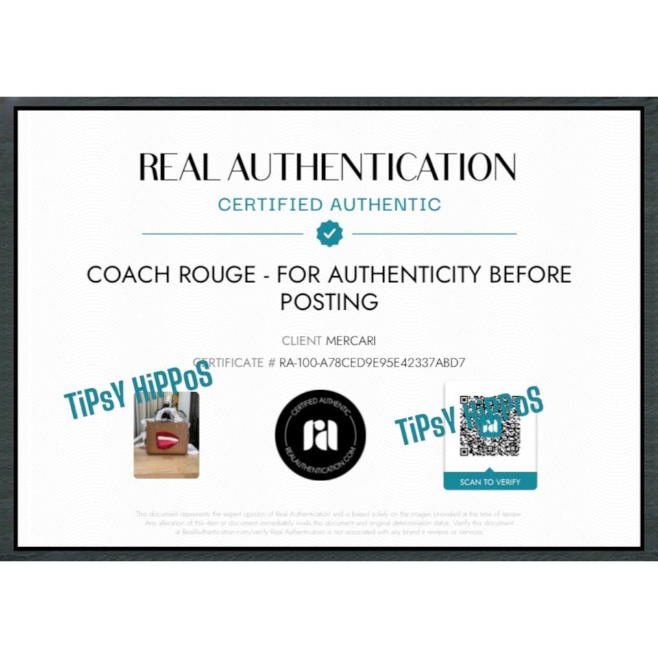 AUTHENTICATED!! Coach X Tom Wesselmann Rogue Bag 25 HANDBAG